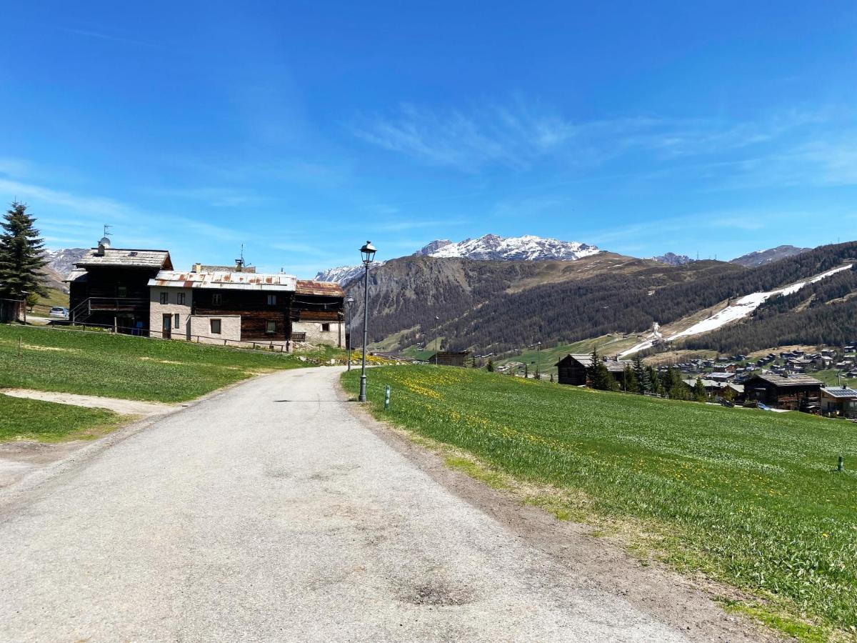 Апартаменти Mountain Chalet Milly Лівіньо Екстер'єр фото