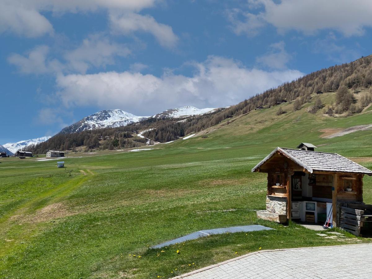 Апартаменти Mountain Chalet Milly Лівіньо Екстер'єр фото