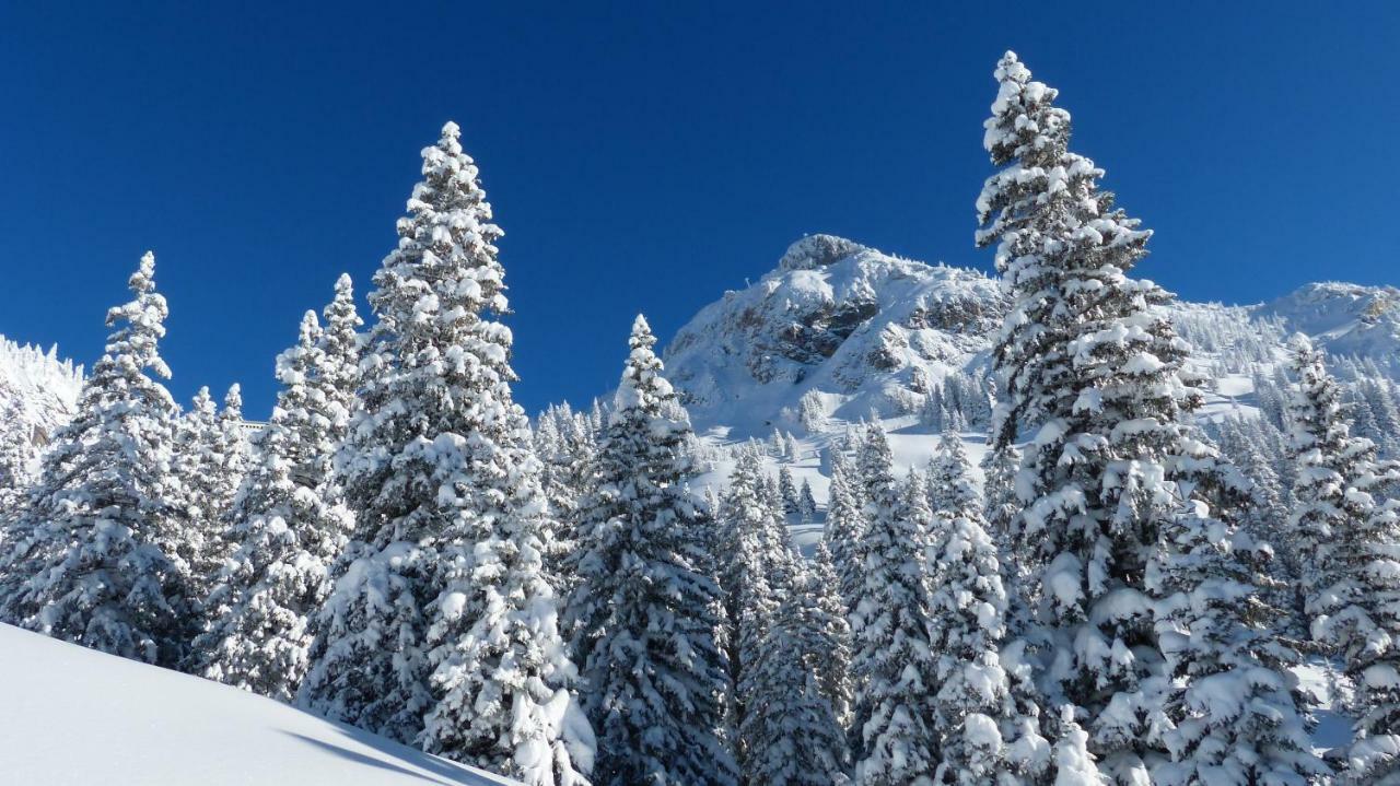 Mountain Chalet Milly Лівіньо Екстер'єр фото
